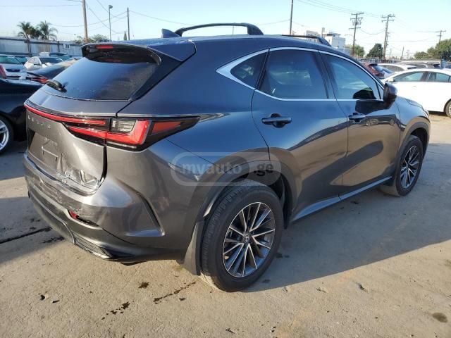 Lexus NX 250 2024 — photo 2