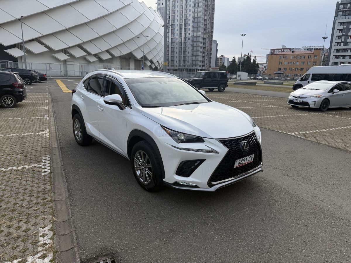 Lexus NX 300 2020 — photo 2