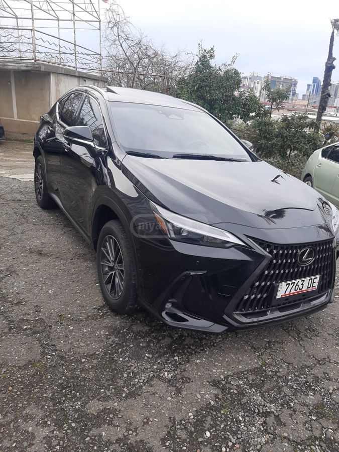 Lexus NX 350 2022 — photo 2