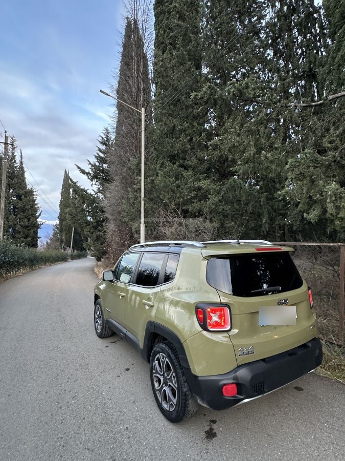 Jeep Renegade 2015 — photo 2