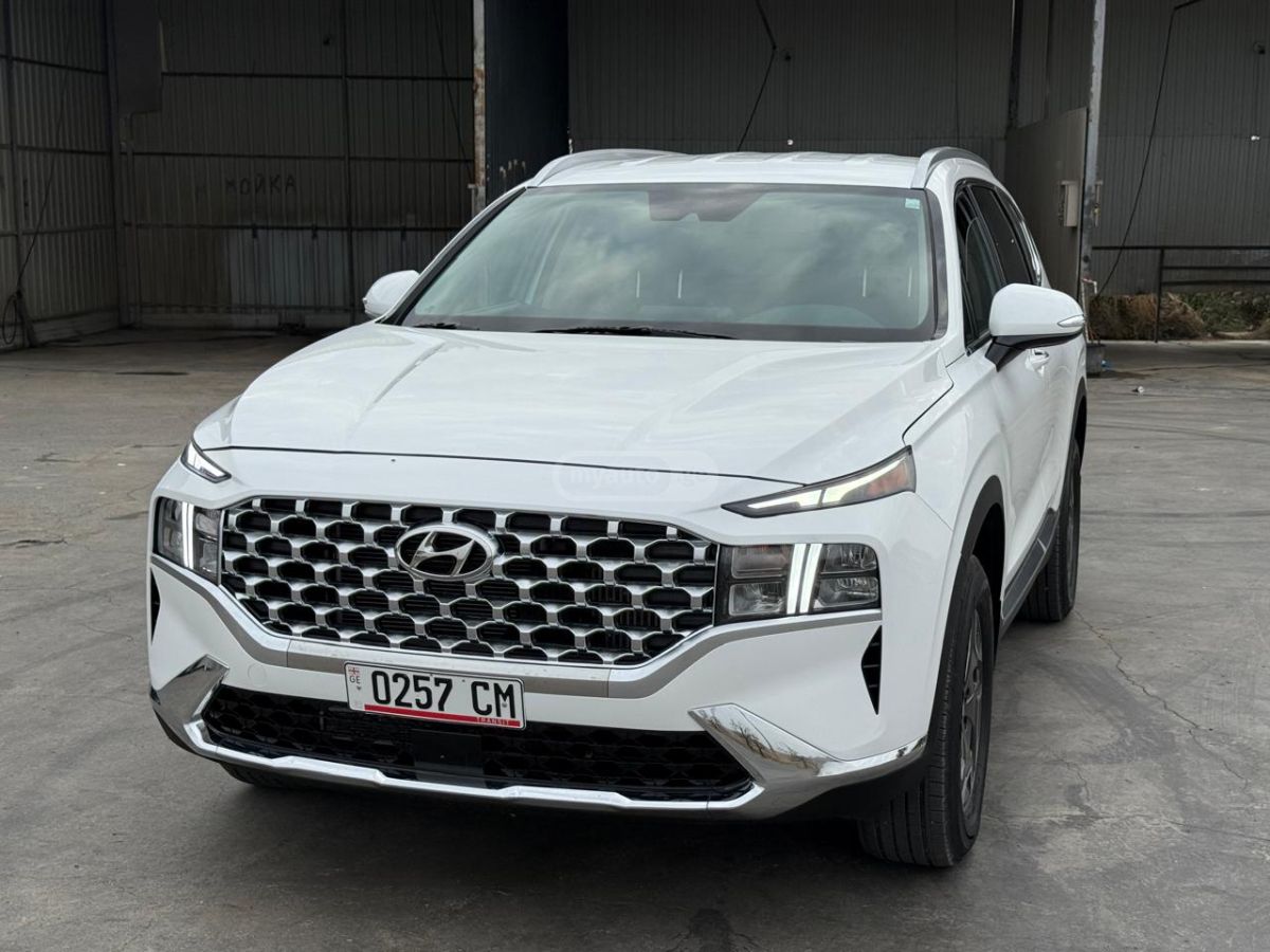 Hyundai Santa FE 2022 — photo 2
