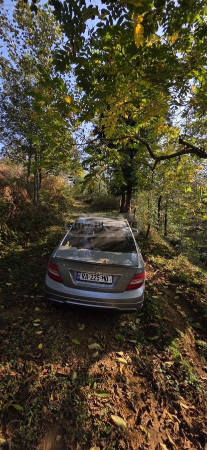 Mercedes-Benz C 250 2014 — photo 2