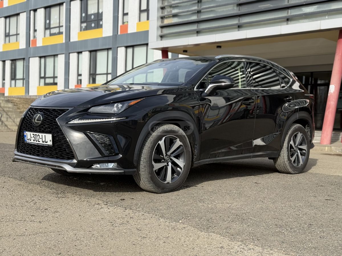 Lexus NX 300 2017 — photo 2