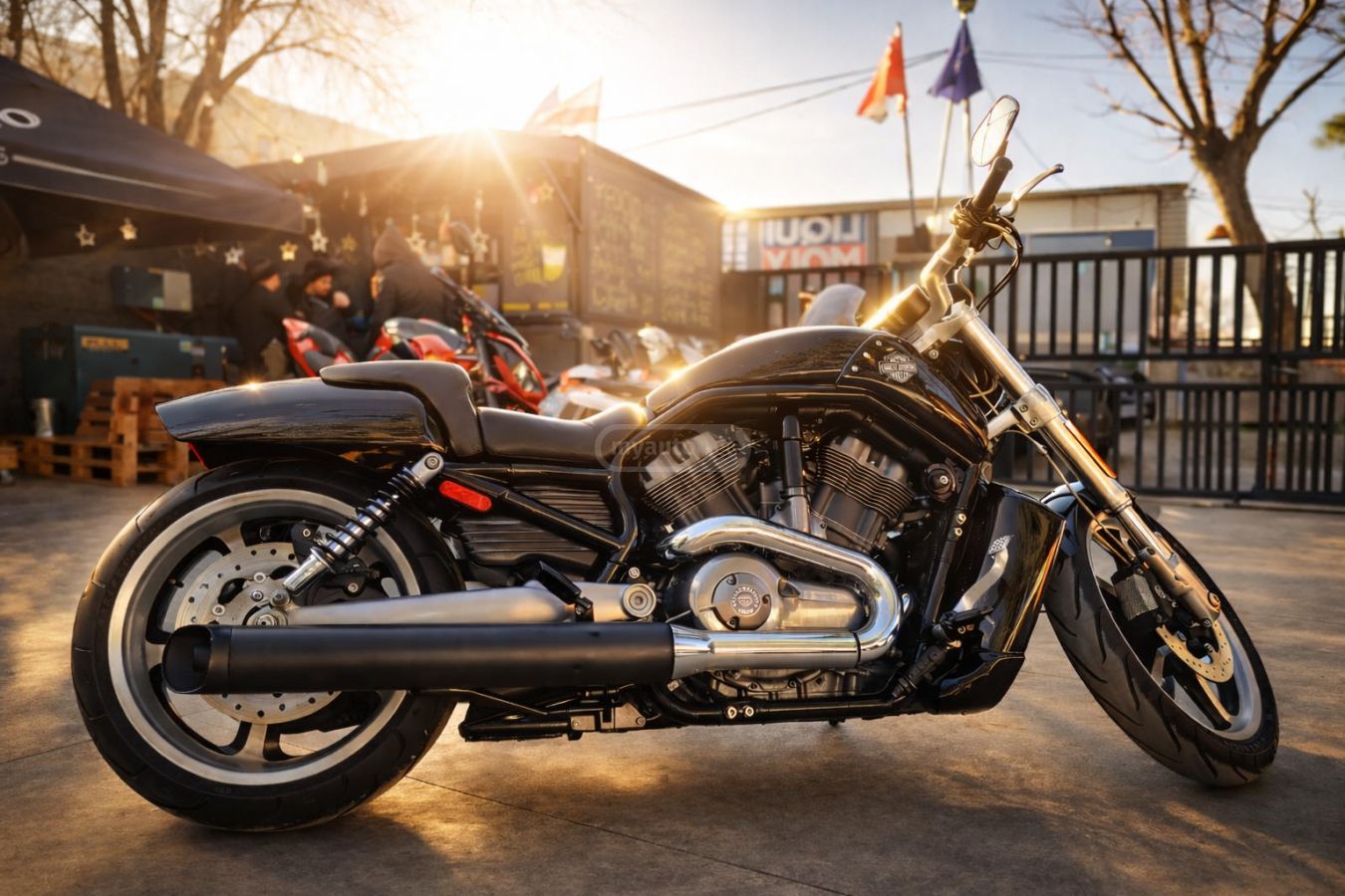 Harley-Davidson V-Rod 2013 — photo 2
