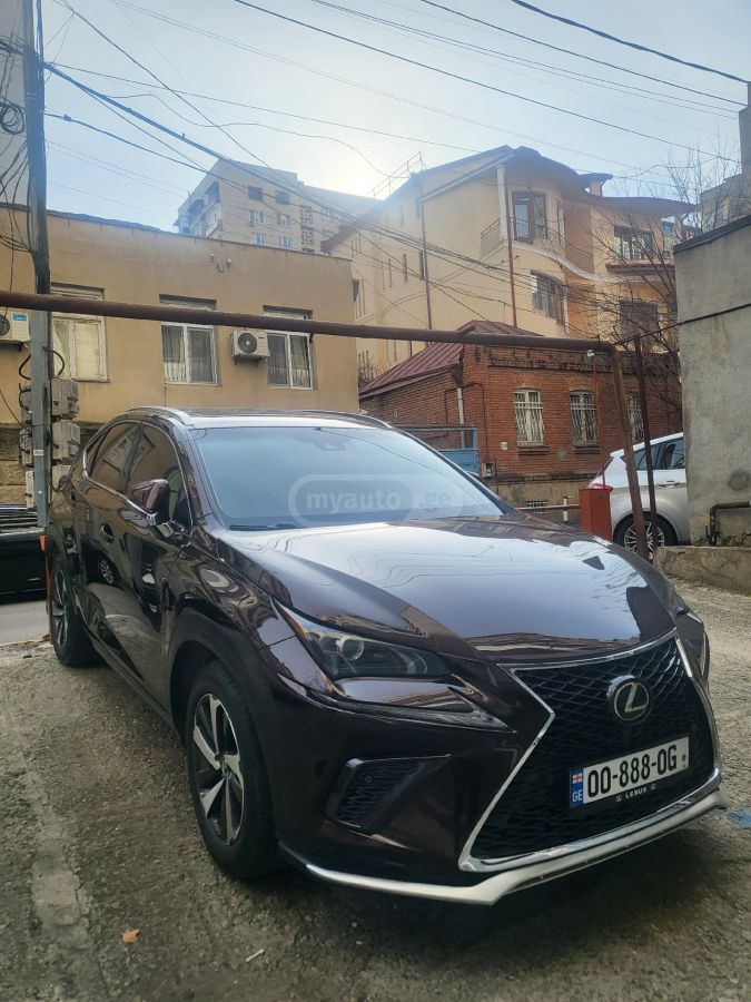 Lexus NX 300 2018 — photo 2