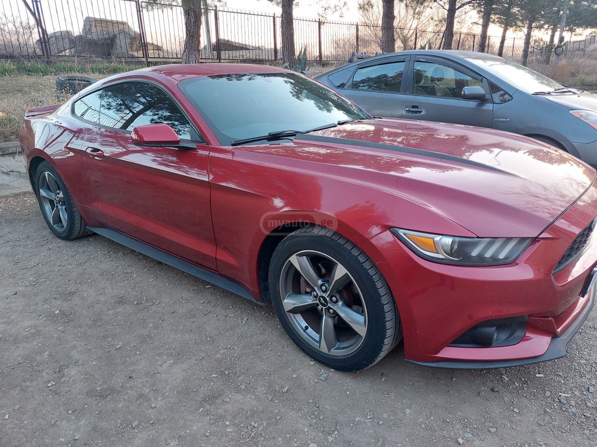 Ford Mustang 2015 — photo 2