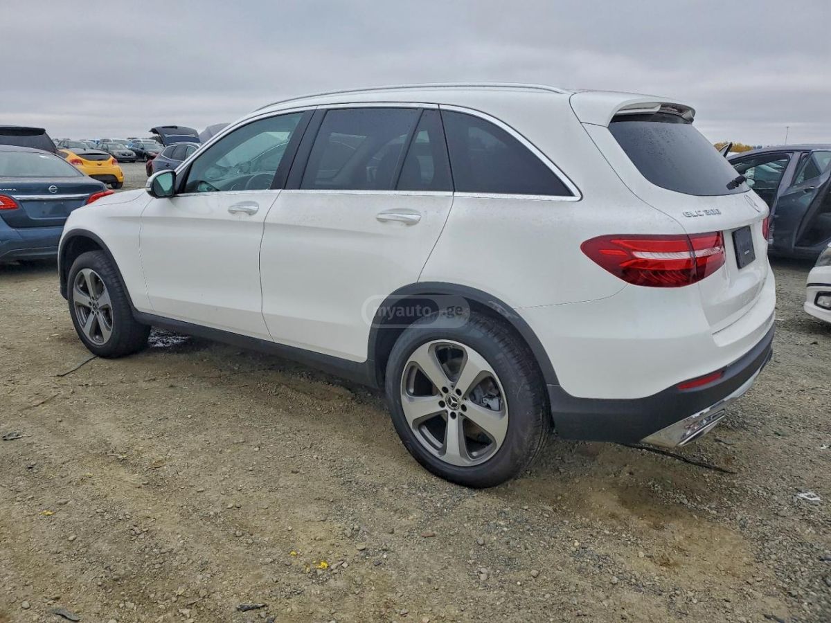 Mercedes-Benz GLC 300 2019 — photo 2