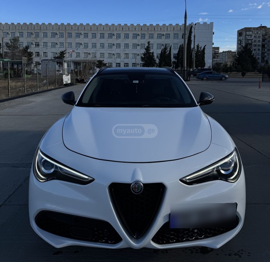 Alfa Romeo Stelvio 2019 — photo 2
