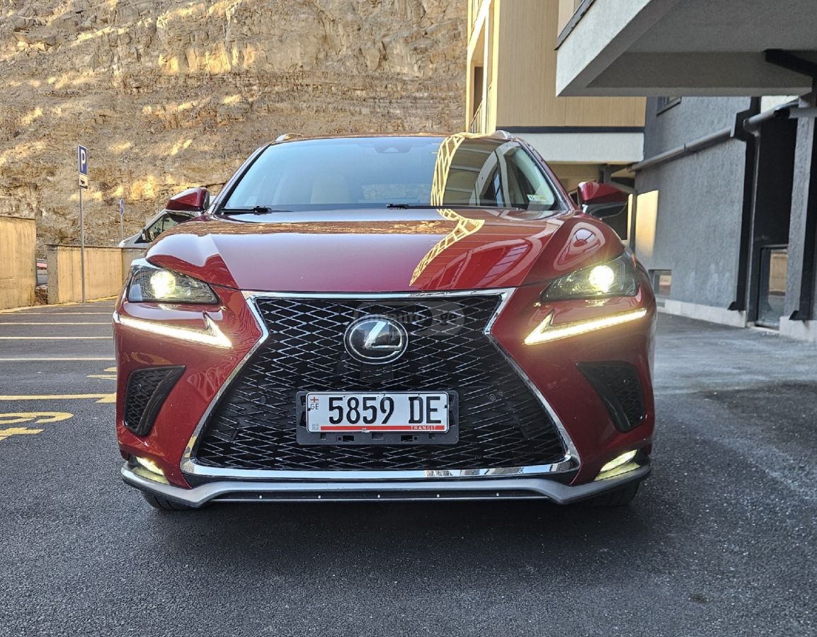 Lexus NX 300 2019 — photo 2