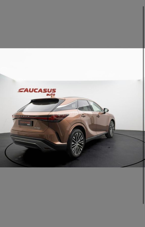 Lexus RX 350 2023 — photo 2