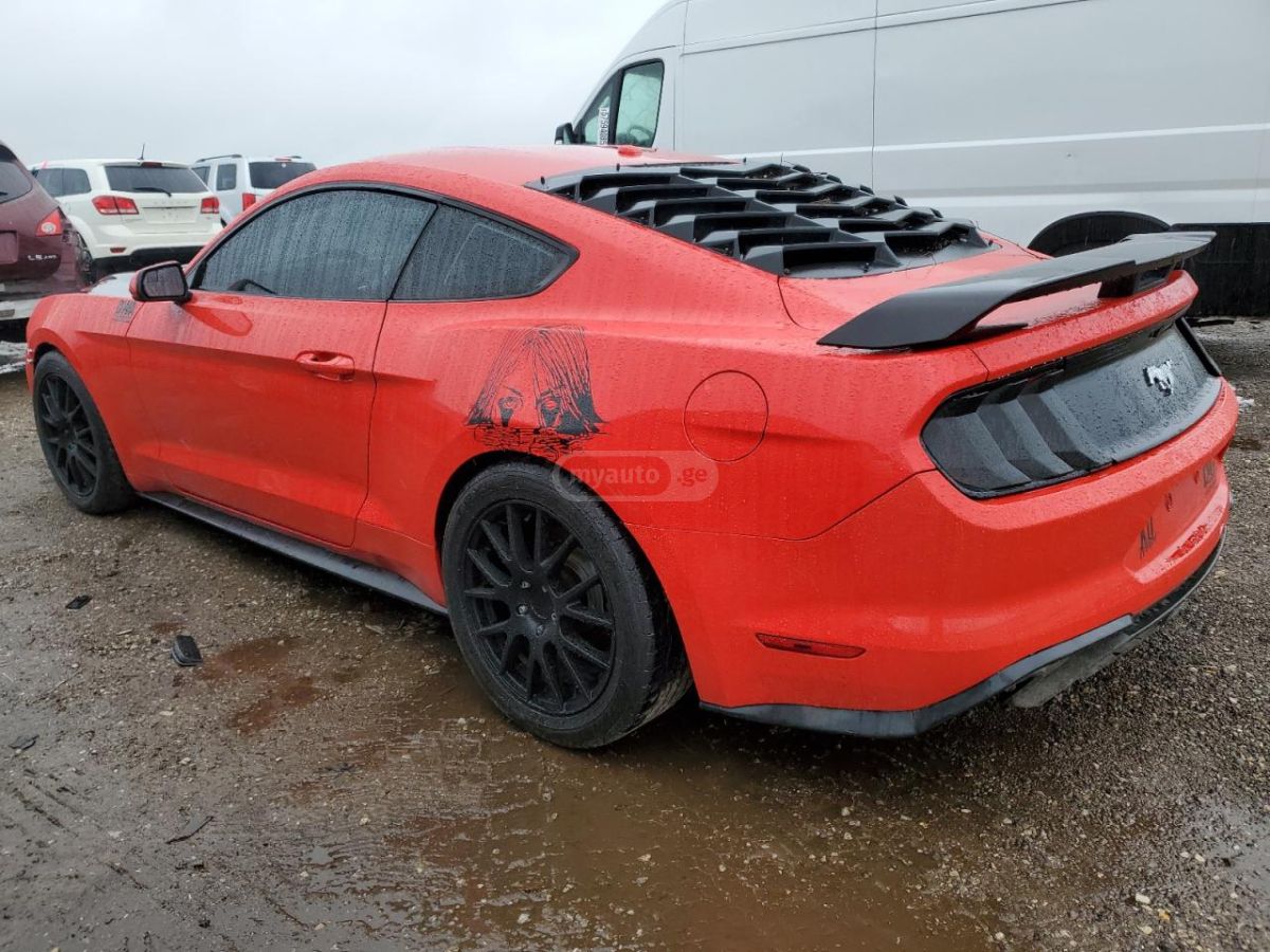 Ford Mustang 2019 — photo 2