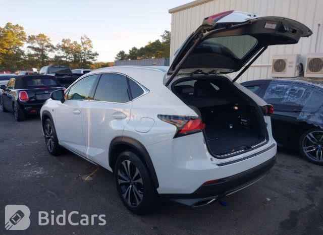 Lexus NX 300 2019 — photo 2