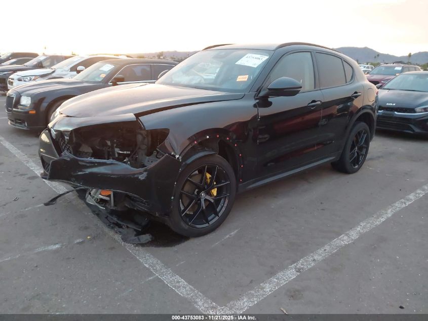 Alfa Romeo Stelvio 2020 — photo 2