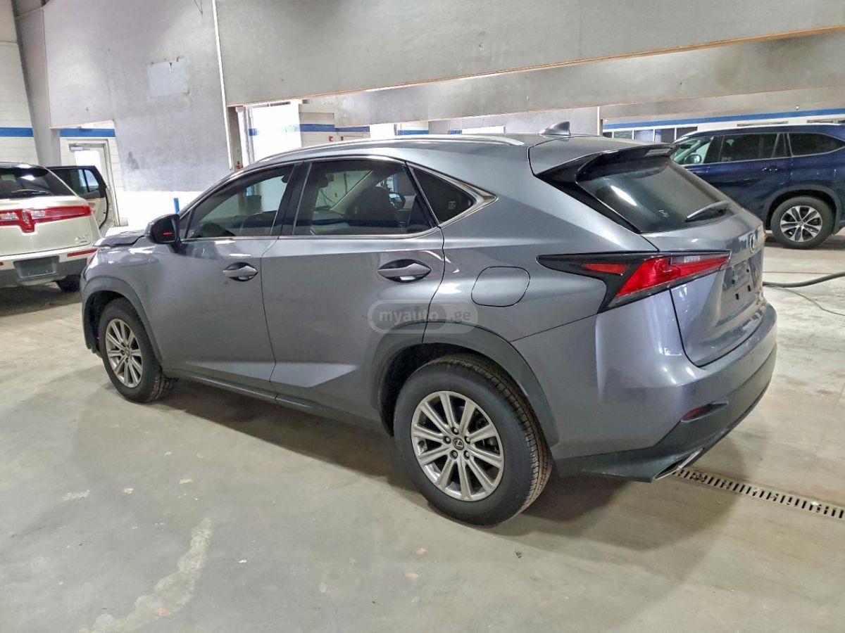 Lexus NX 300 2019 — photo 2