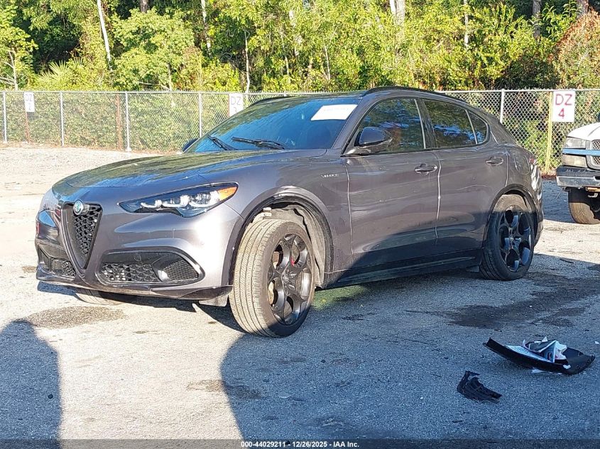 Alfa Romeo Stelvio 2024 — photo 2