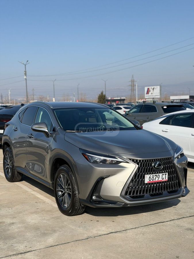 Lexus NX 250 2025 — photo 2