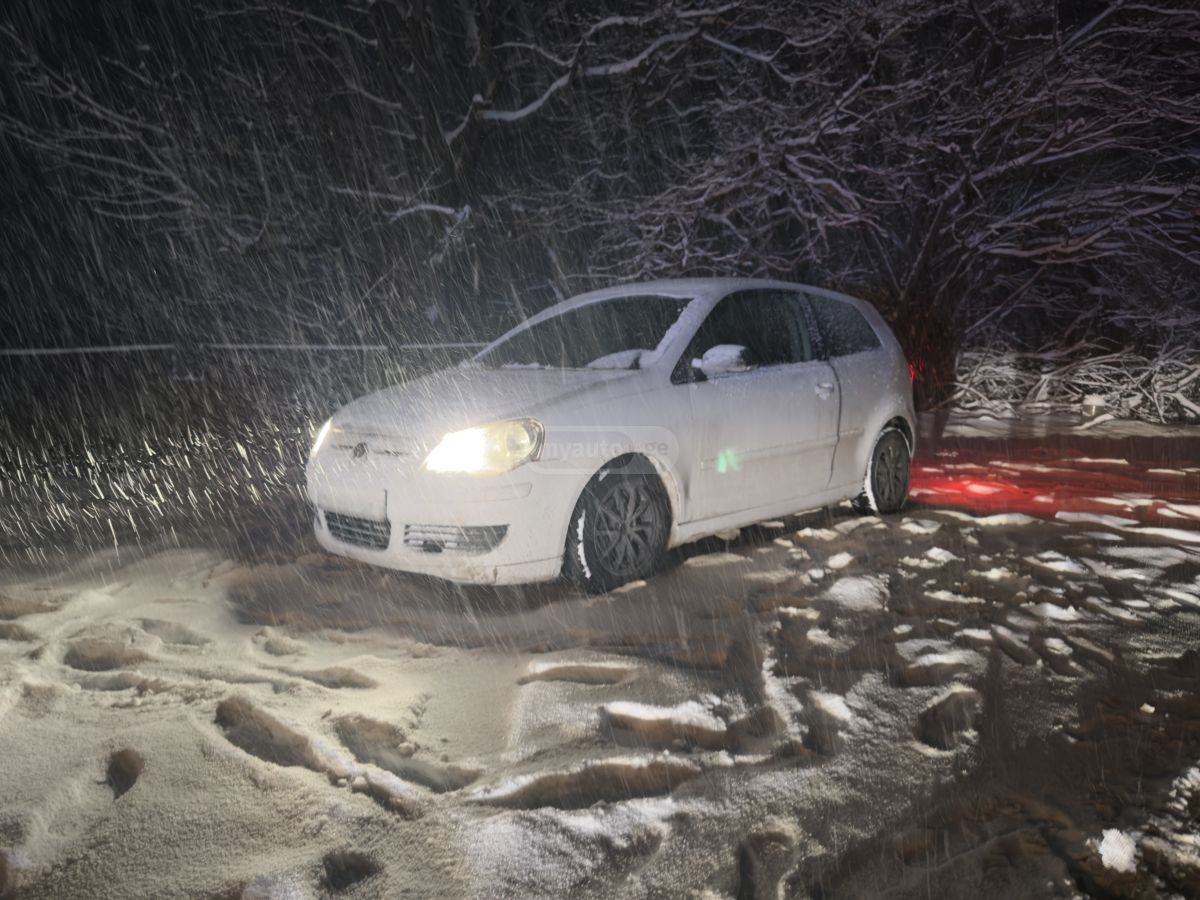 Volkswagen Polo 2009 — photo 2