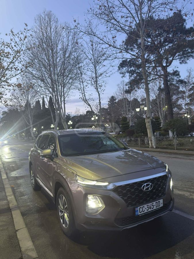 Hyundai Santa FE 2019 — photo 2