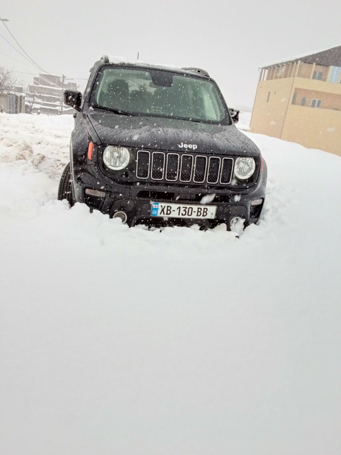 Jeep Renegade 2020 — photo 2