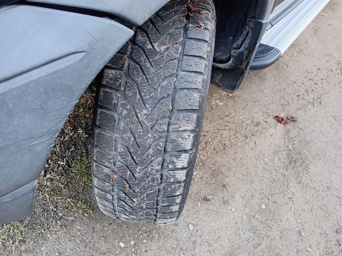 Land Rover Freelander 2001 — photo 2
