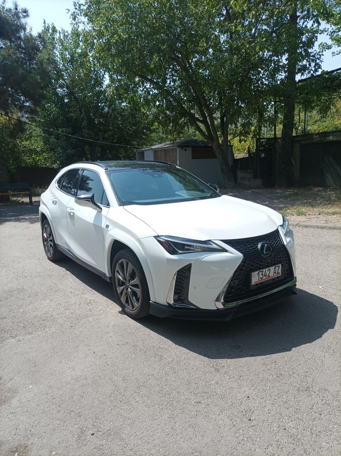 Lexus UX 250 h 2022 — photo 2