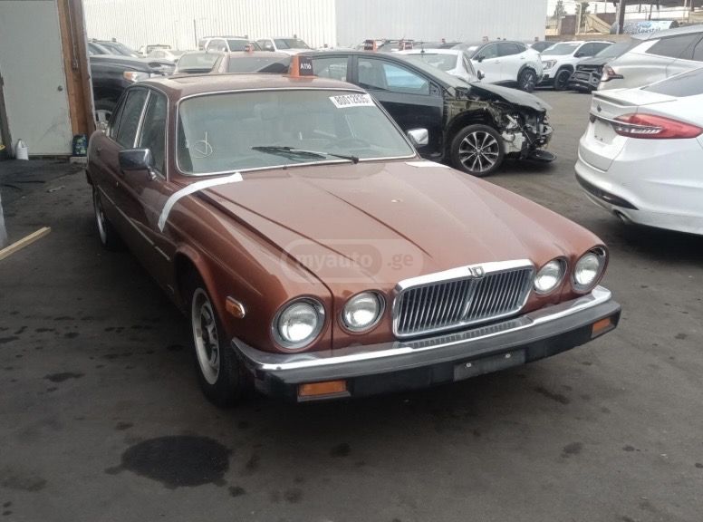 Jaguar XJ 1983 — photo 2