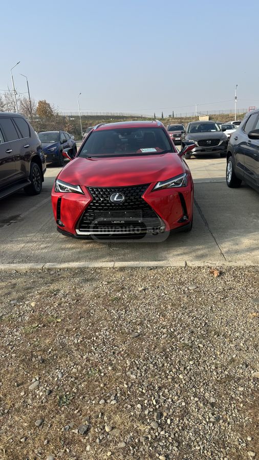 Lexus UX 250 h