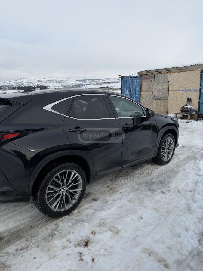Lexus NX 350 2023 — photo 2