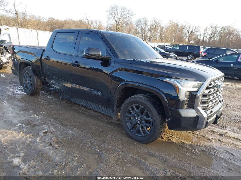 Toyota Platinum
