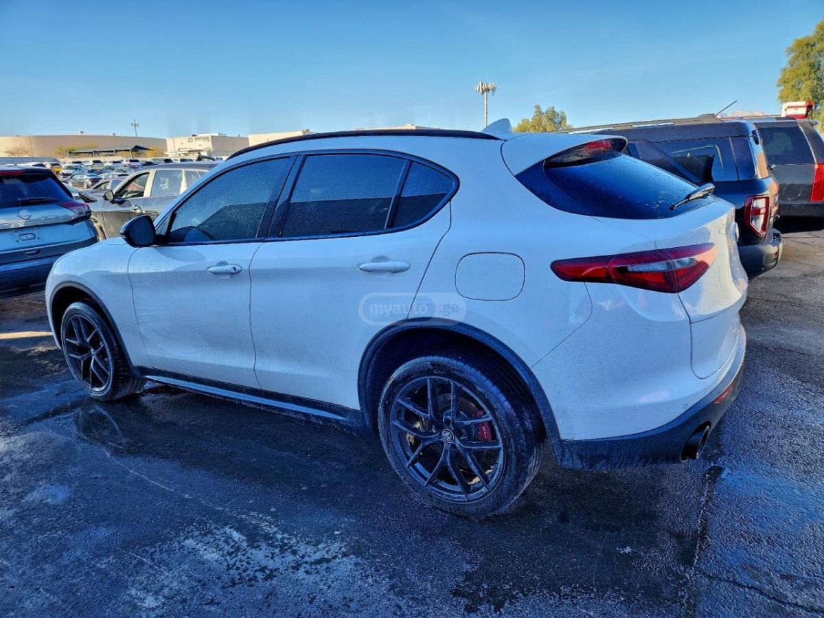 Alfa Romeo Stelvio 2020 — photo 2