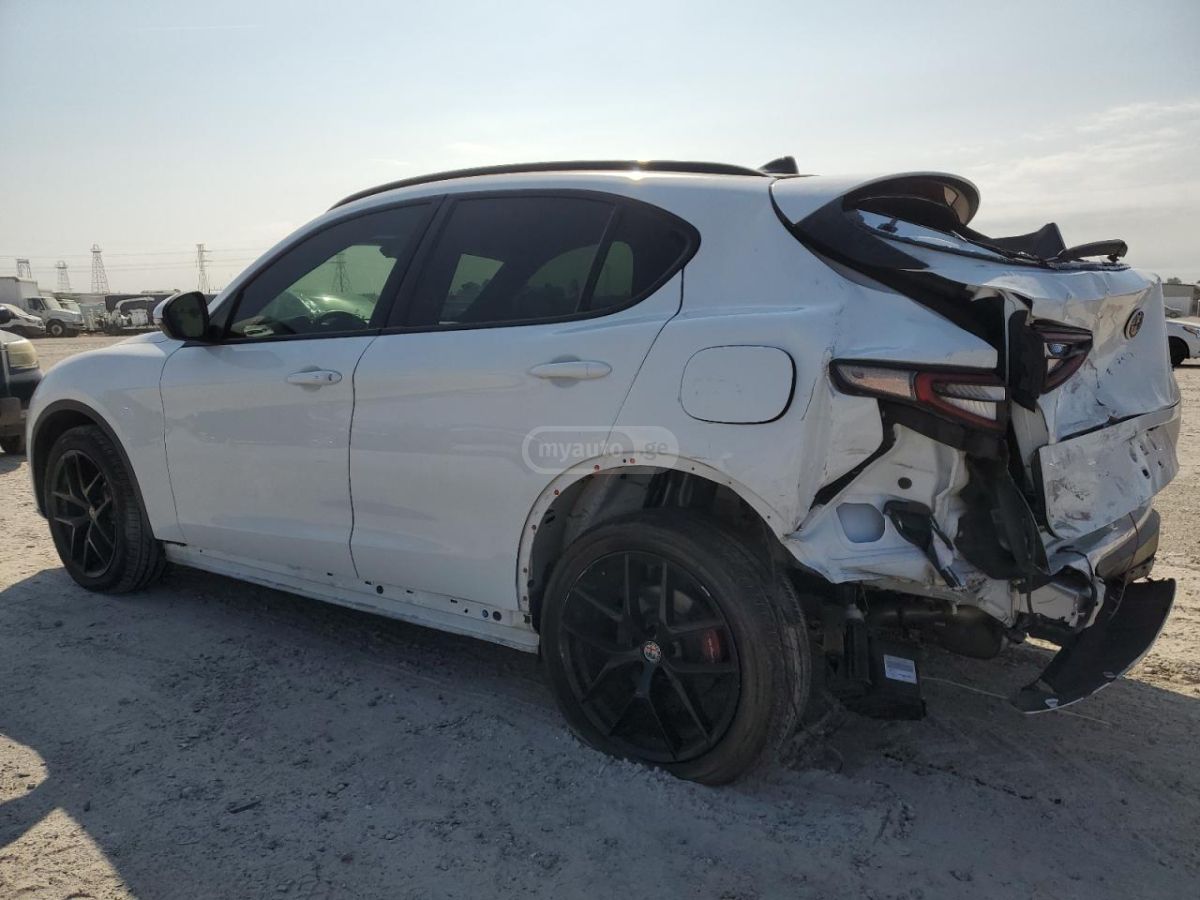 Alfa Romeo Stelvio 2019 — photo 2