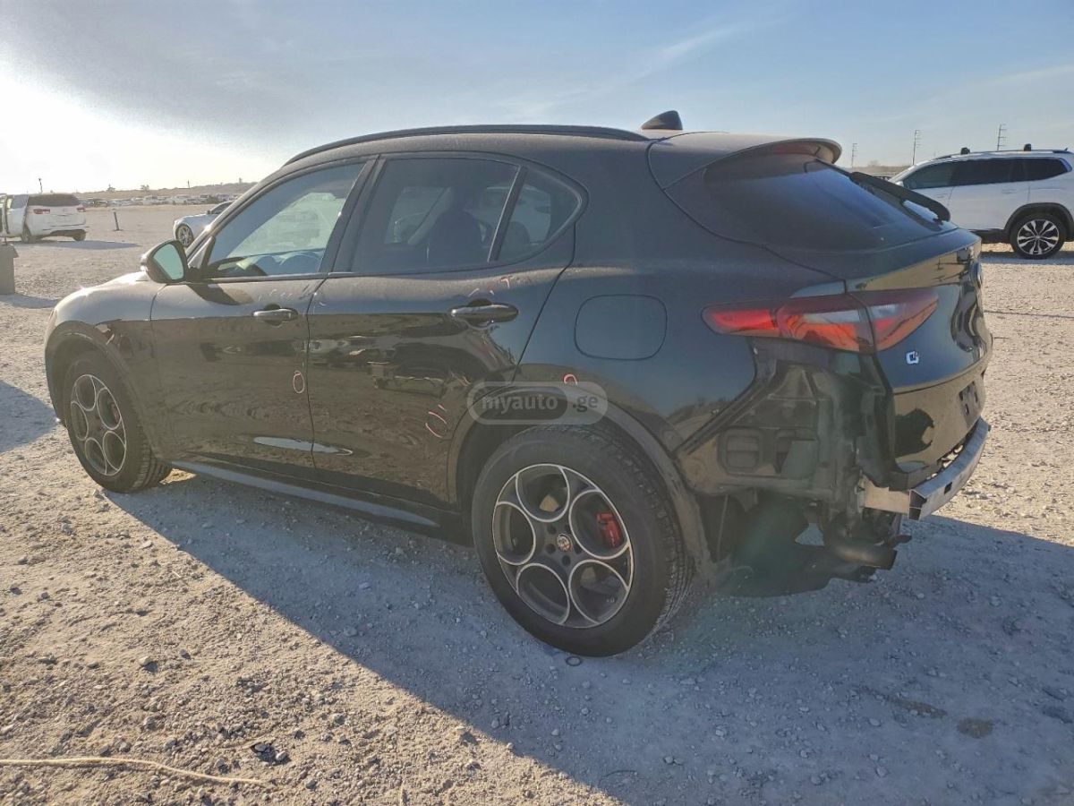 Alfa Romeo Stelvio 2020 — photo 2