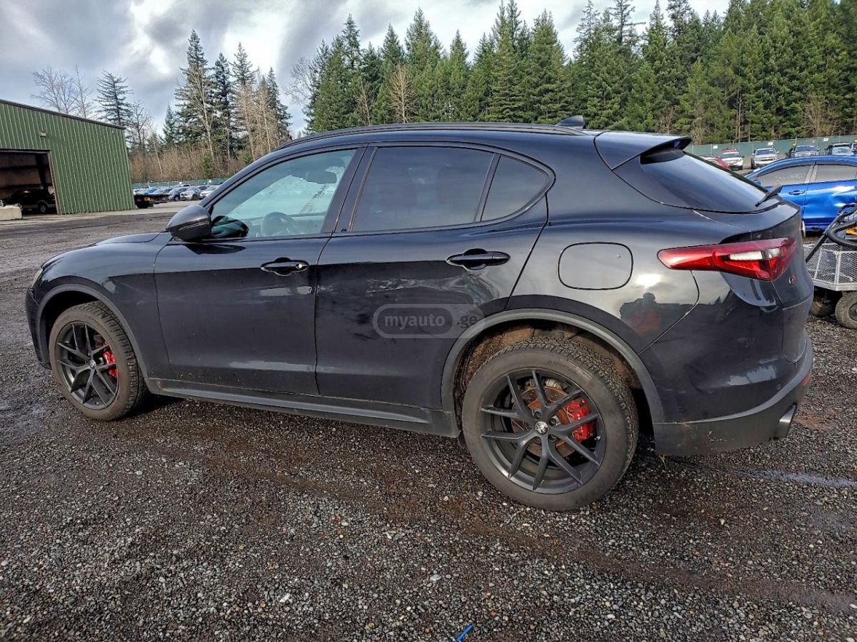 Alfa Romeo Stelvio 2019 — photo 2