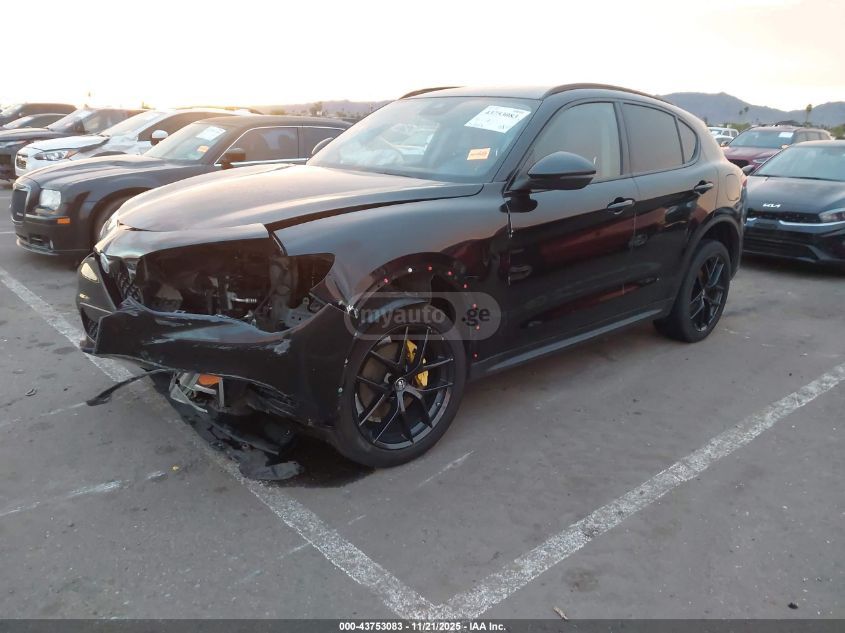 Alfa Romeo Stelvio 2020 — photo 2