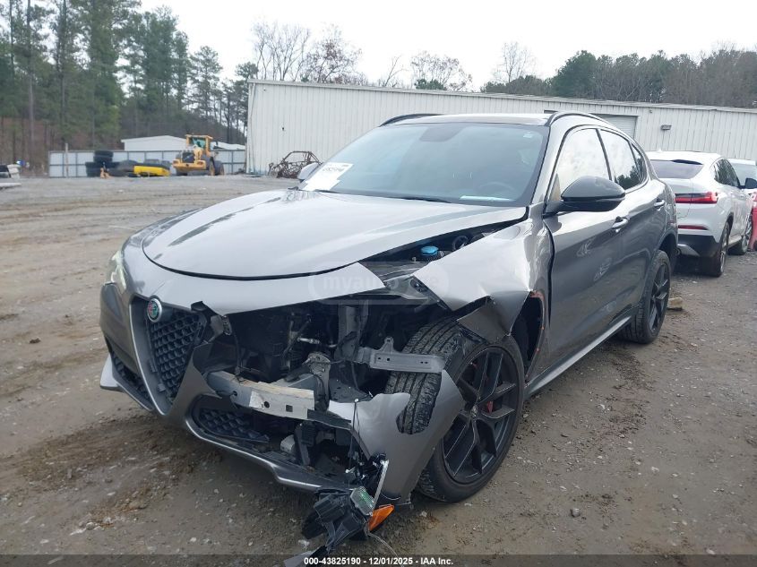 Alfa Romeo Stelvio 2019 — photo 2