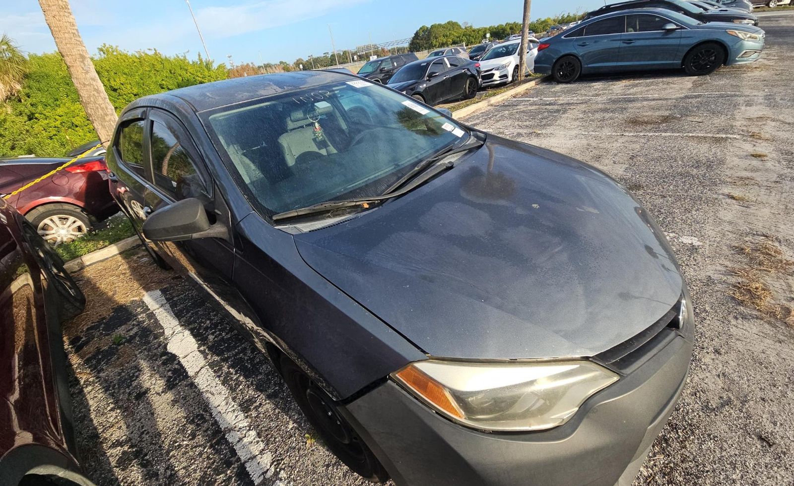 Toyota Corolla 2014 — photo 2