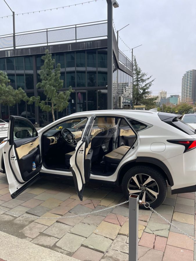 Lexus NX 300 2019 — photo 2