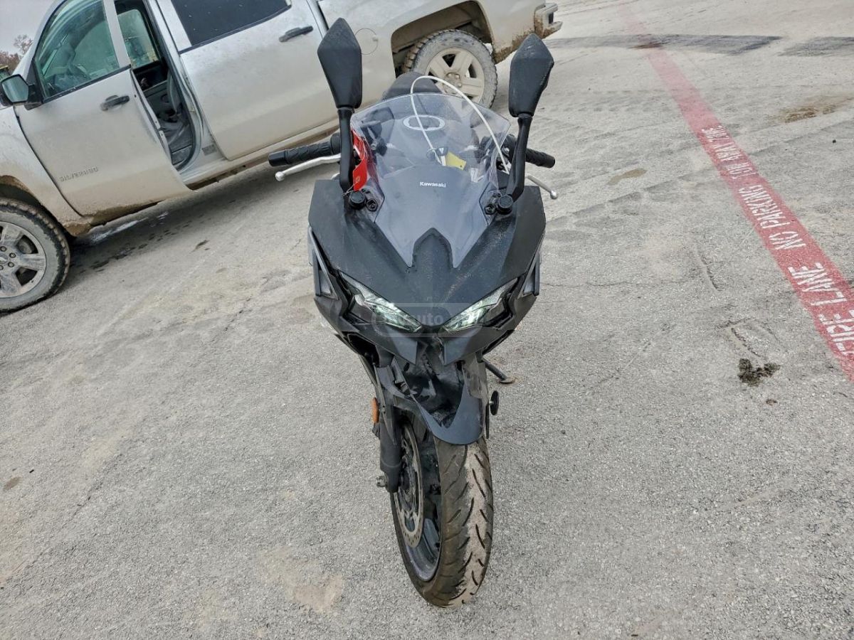 Kawasaki EX-4 2025 — photo 2