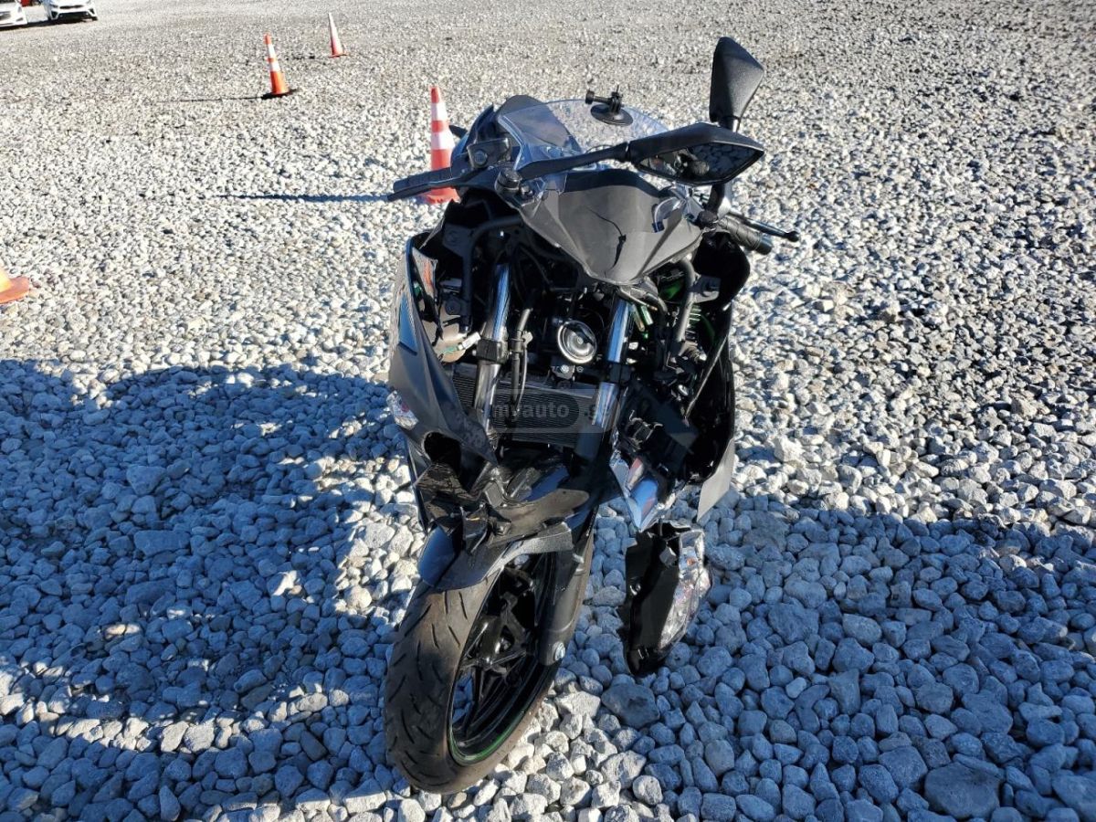 Kawasaki EX-4 2023 — photo 2