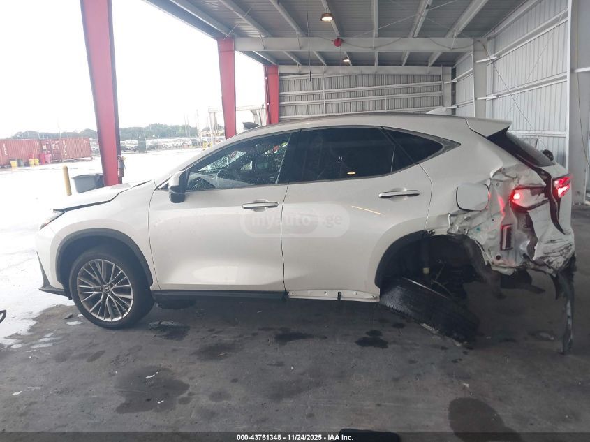 Lexus NX 350 2022 — photo 2
