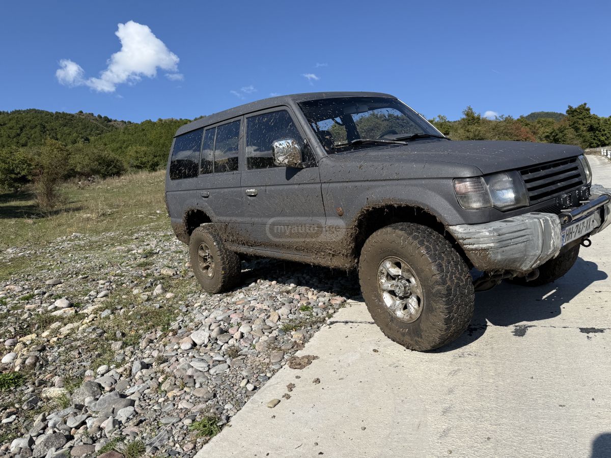 Mitsubishi Pajero 1992 — photo 2