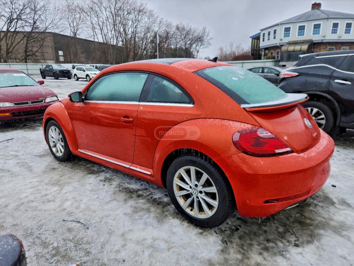 Volkswagen New Beetle 2019 — photo 2