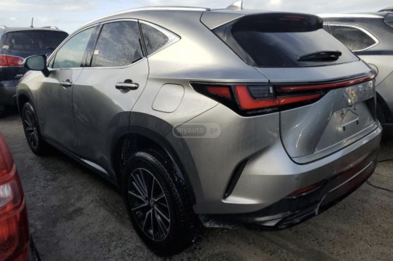 Lexus NX 300 2022 — photo 2
