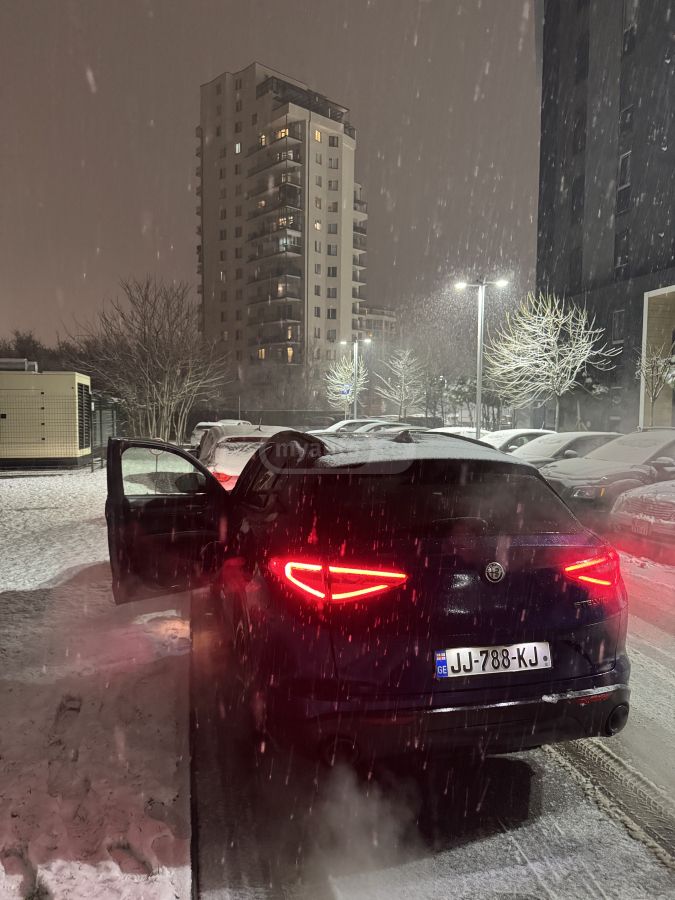 Alfa Romeo Stelvio 2019 — photo 2