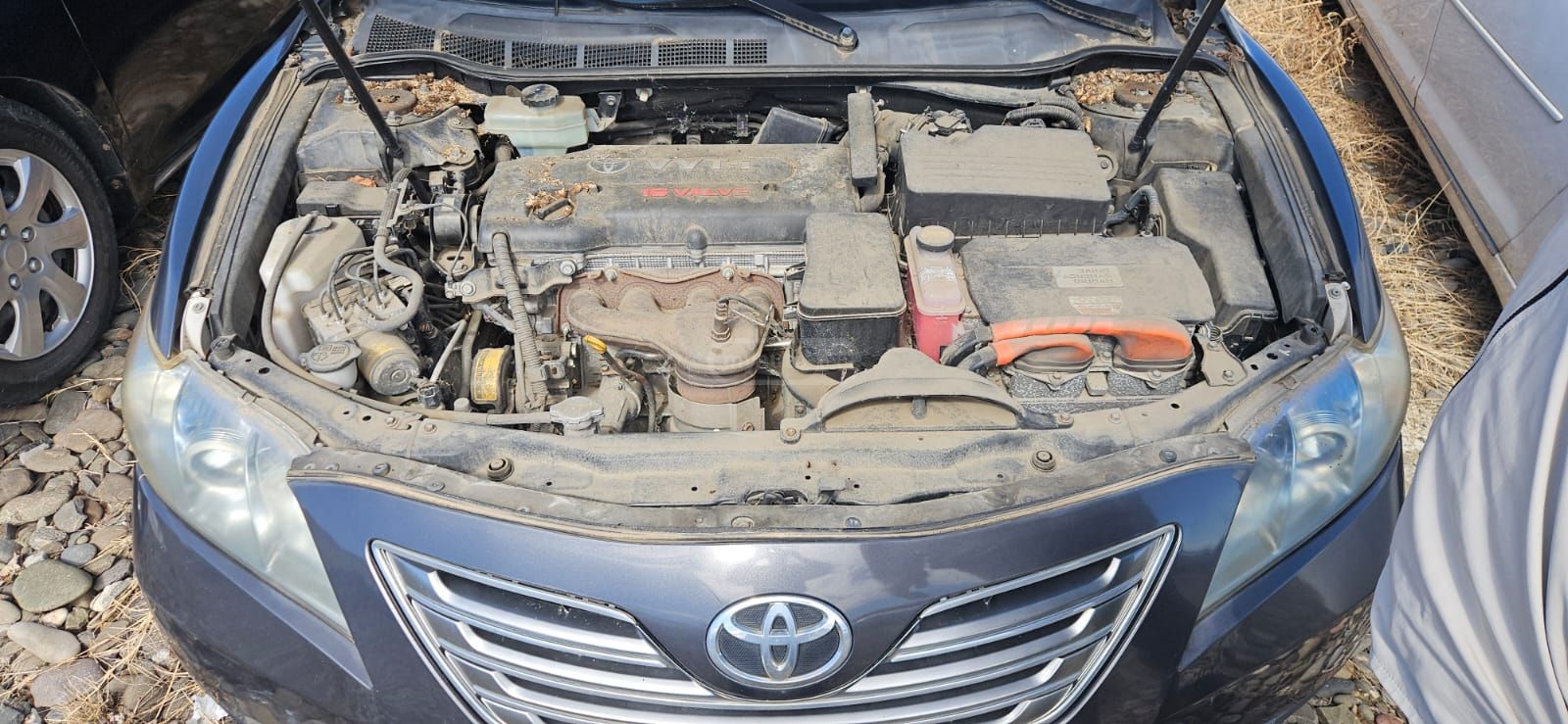 Toyota Camry 2009 — photo 2