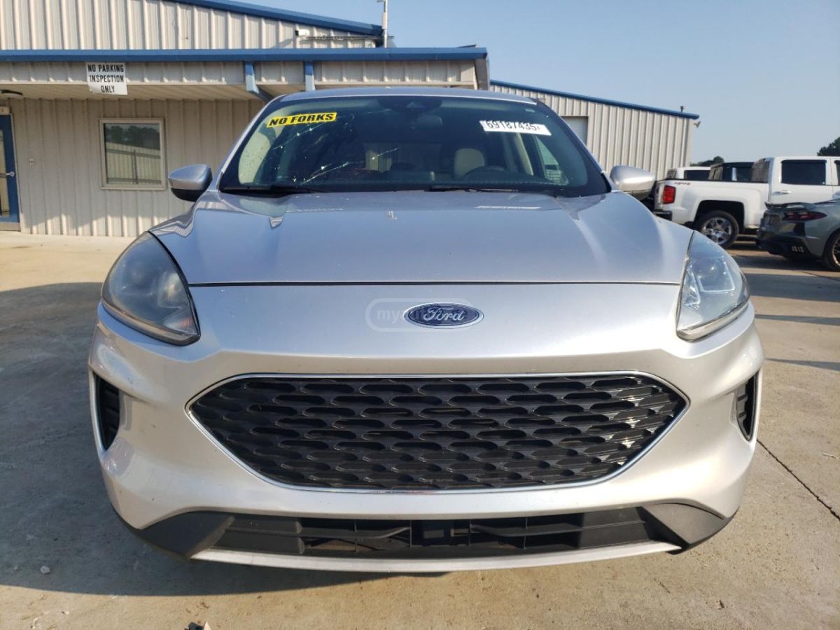 Ford Escape 2020 — photo 2