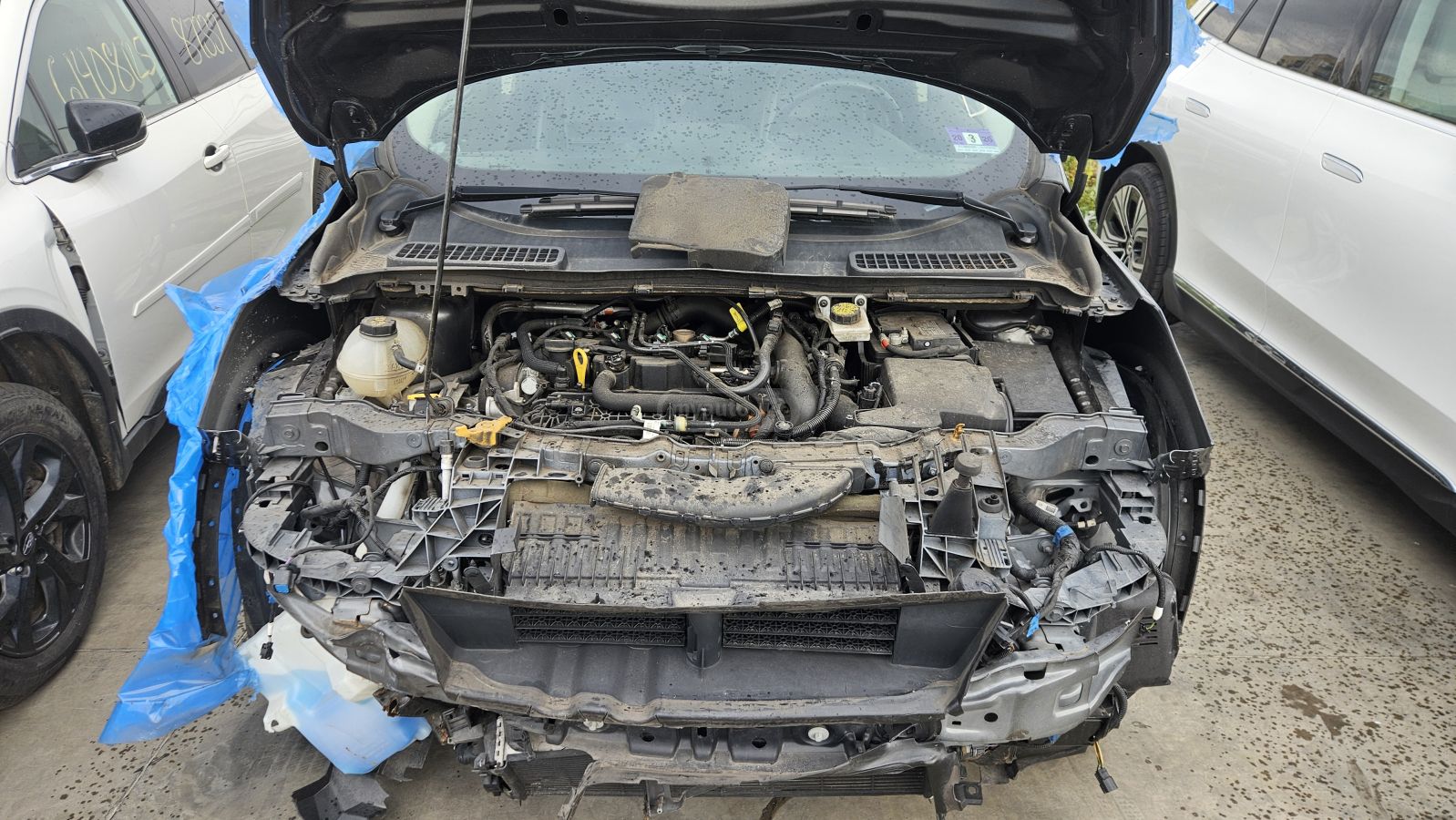 Ford Escape 2019 — photo 2