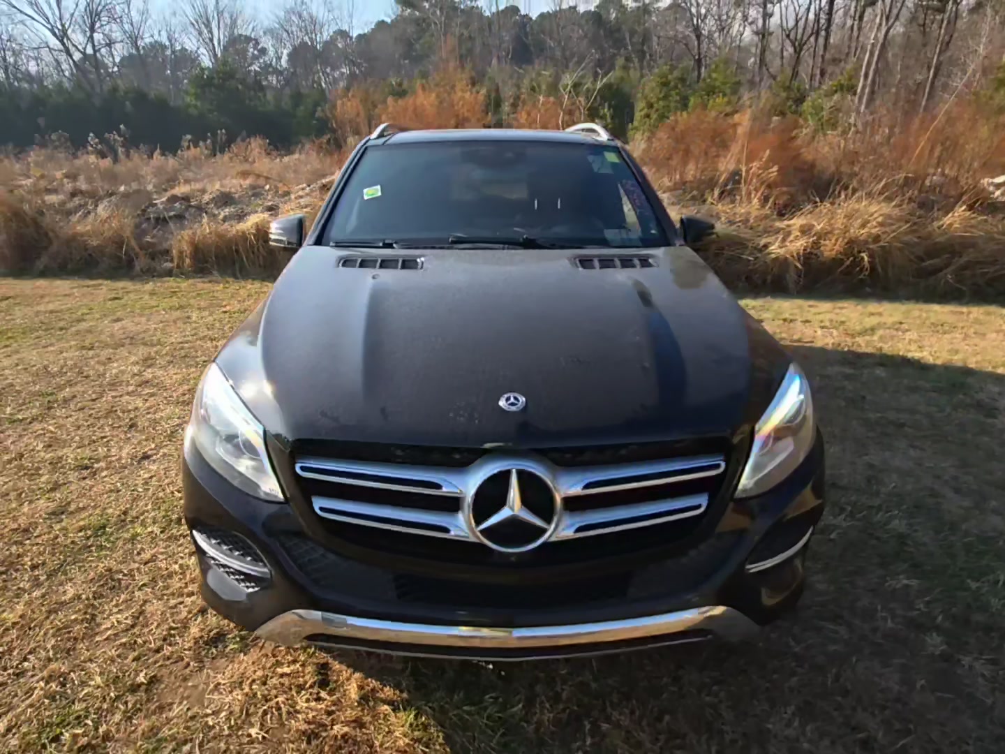 Mercedes-Benz GLE 350 2017 — photo 2