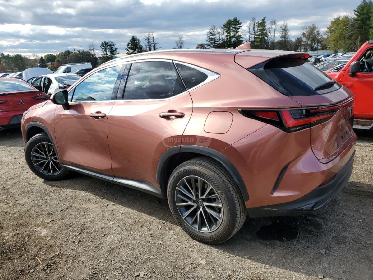 Lexus NX 200 2025 — photo 2