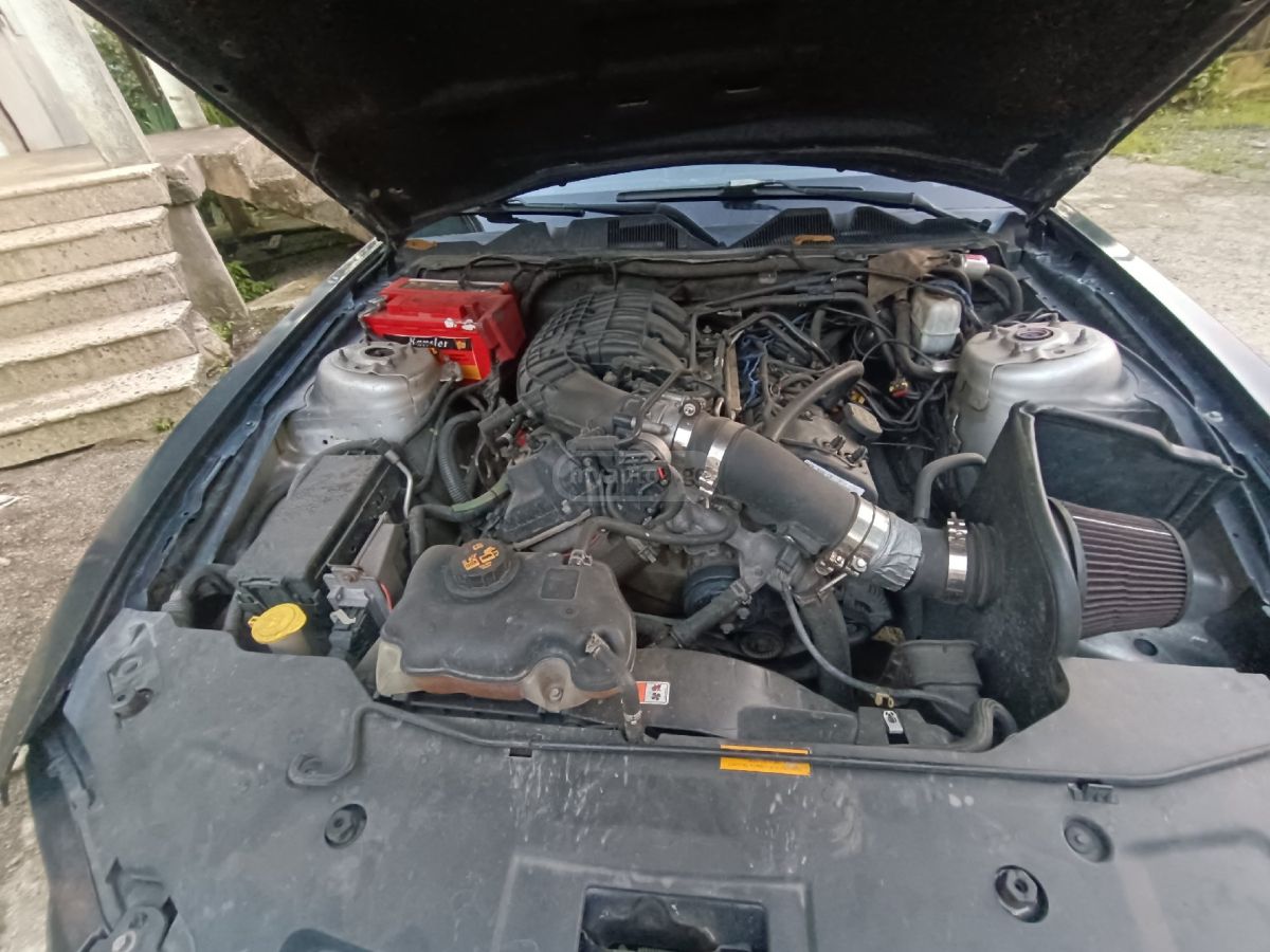 Ford Mustang 2010 — photo 2